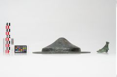 Foto von Bronzephalere (NHMW-PRAE-025544a)